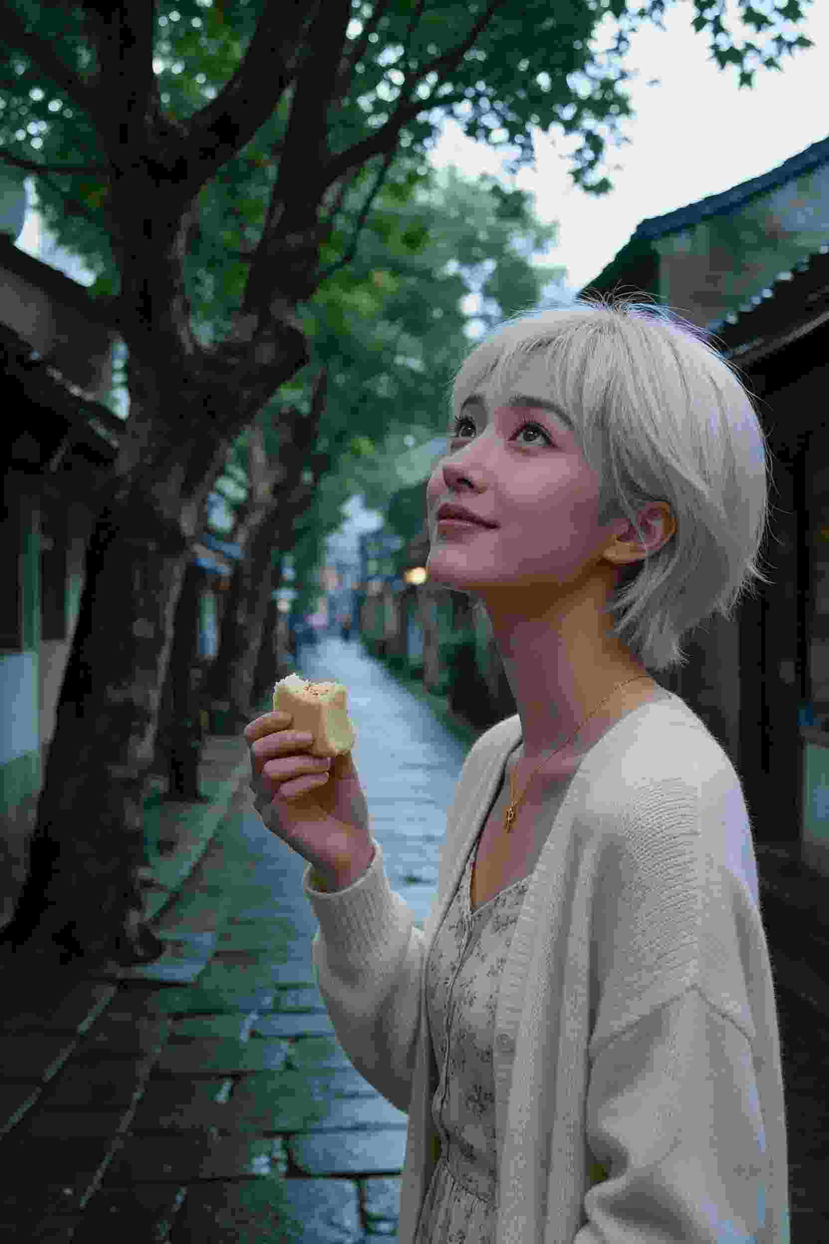 慕容复仇记